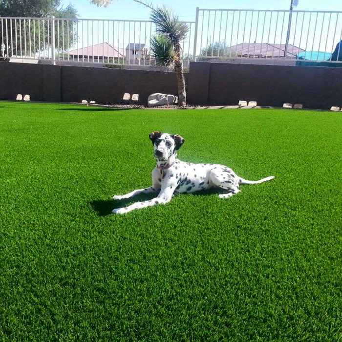 SGW-city page photos-suburban-02