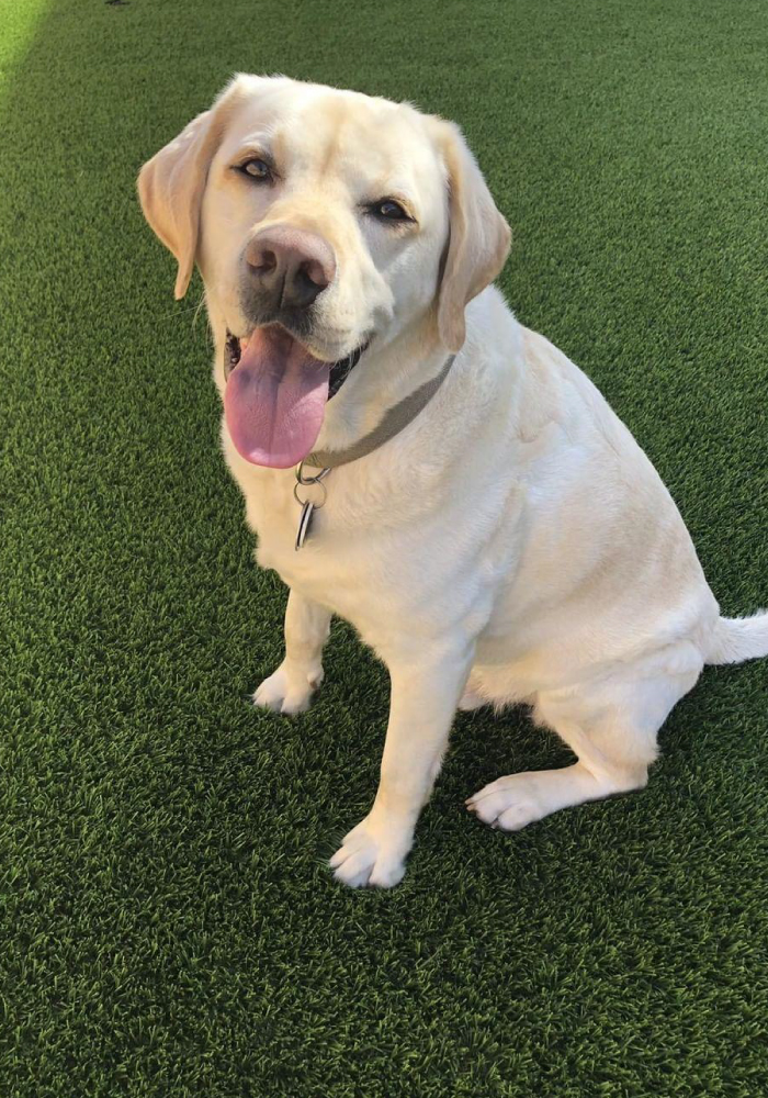 SGW-city page photos-suburban-06