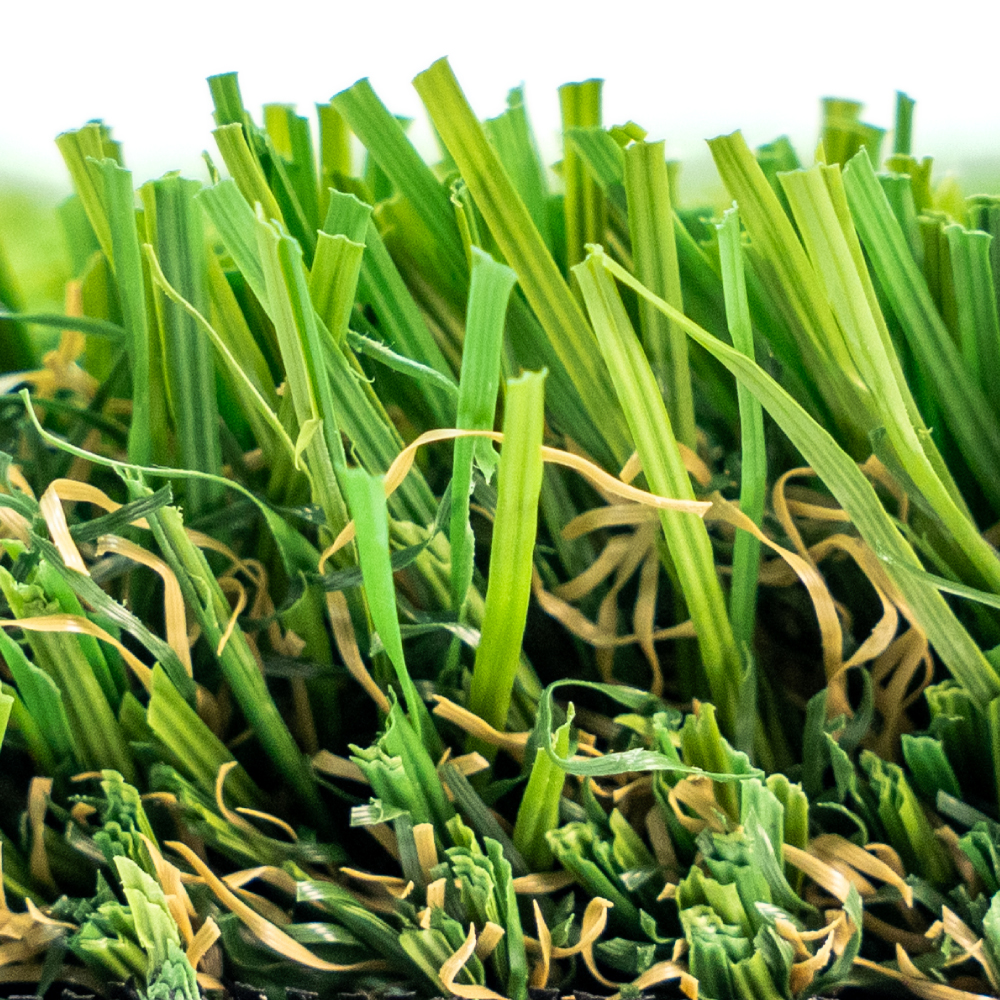 Buffalo Pro - Image 3