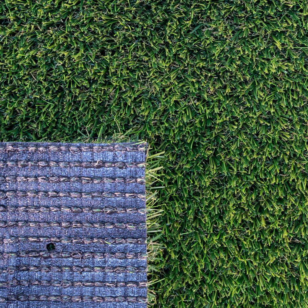 Buffalo Pro - Image 4