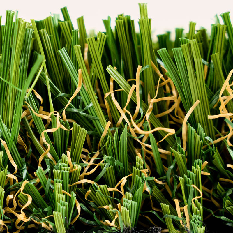 Cascade Fescue - Image 3