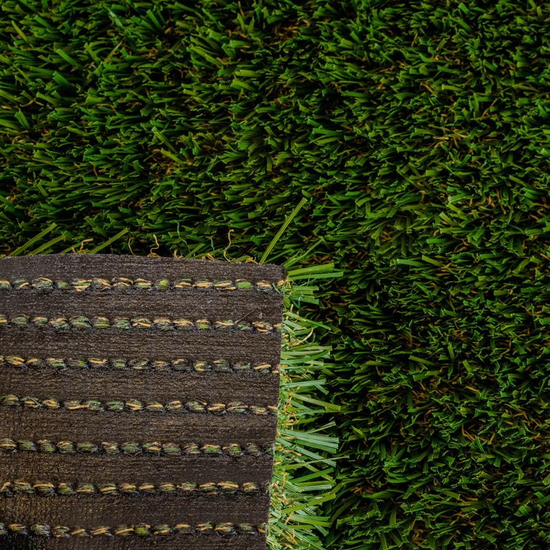 Cascade Fescue - Image 4