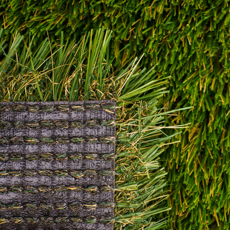 Catalina Pro - Image 4