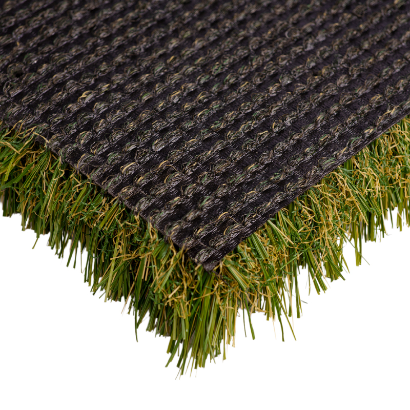 Catalina Pro - Image 5