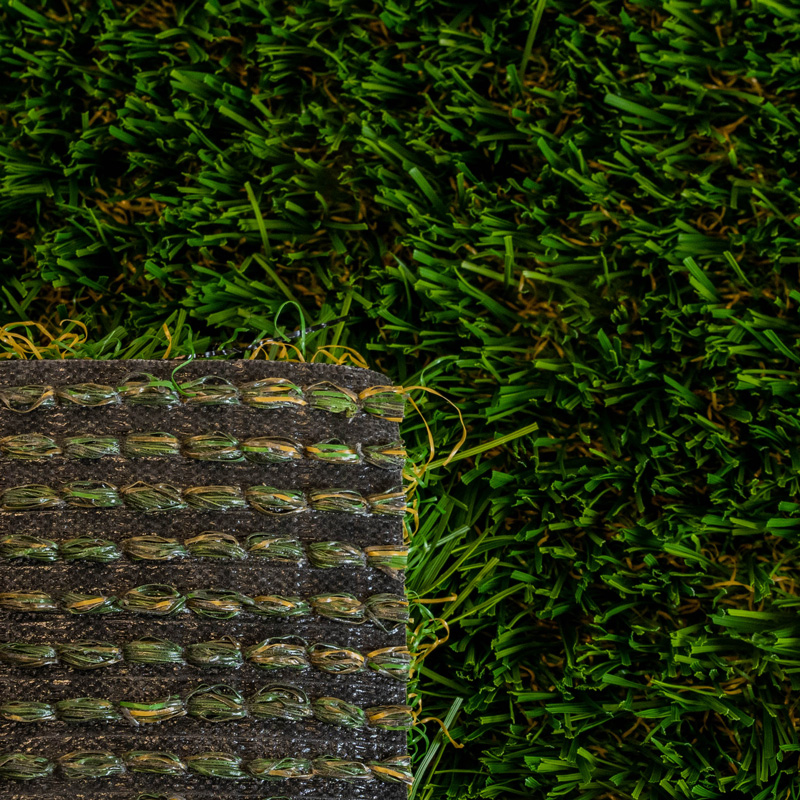 Diamond Light Fescue - Image 4