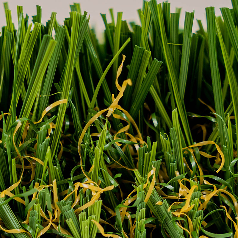 Diamond Pro Fescue