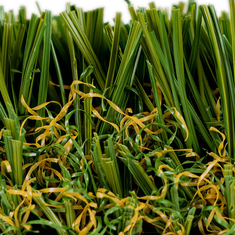 Everglade Fescue Pro