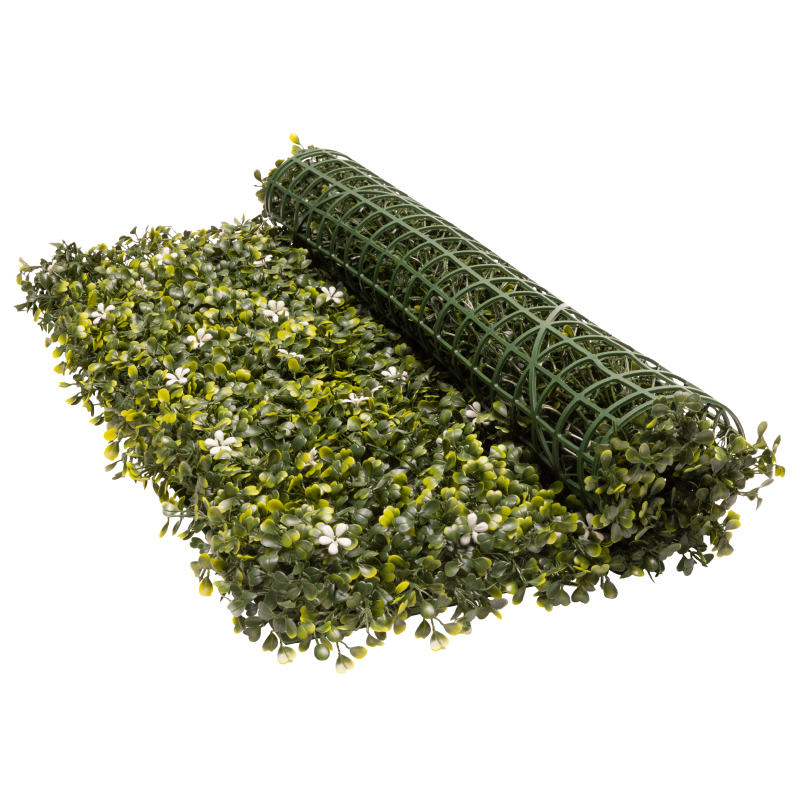 Mini Jasmine - Image 3