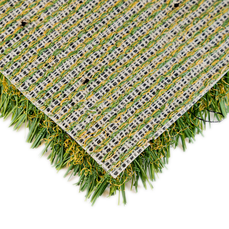 Playground Fescue - Image 5