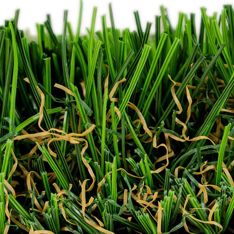 Riviera Pro