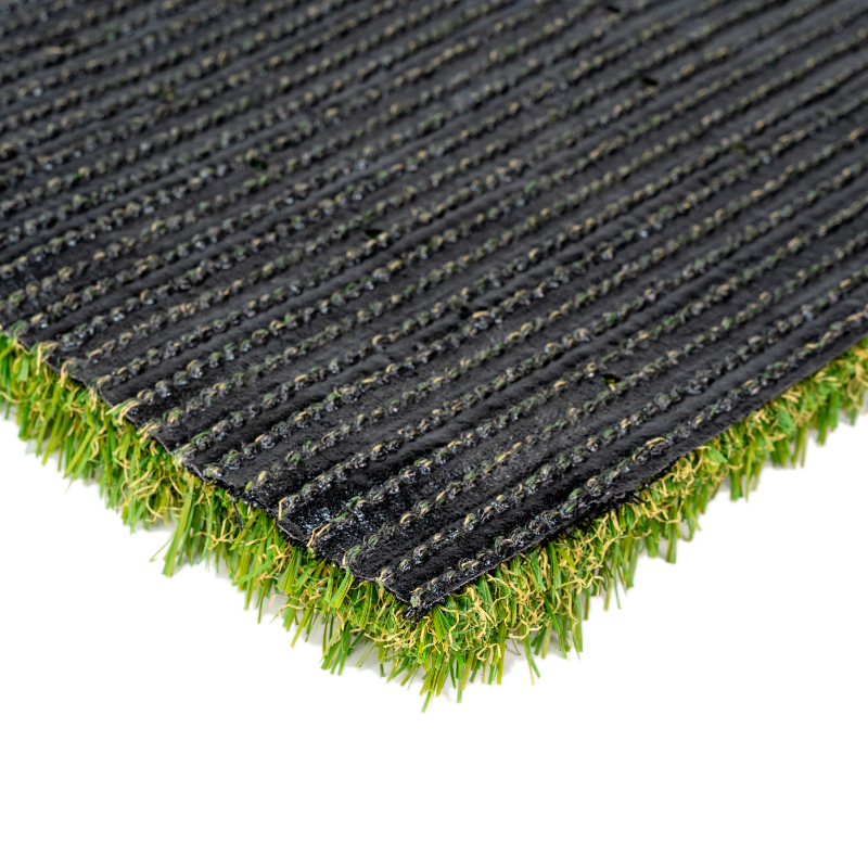 Sequoia Light - Image 5