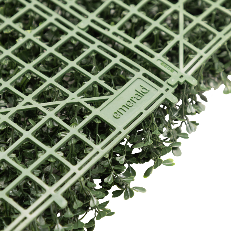 Sports Hedge - Image 4