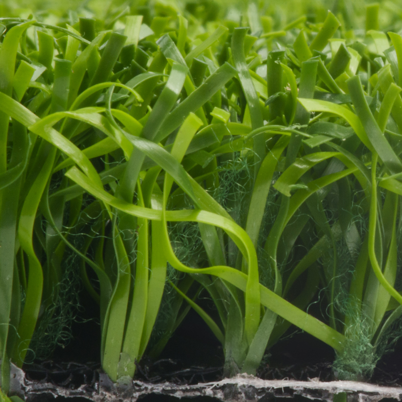 Tiger Putt Urethane - Image 3